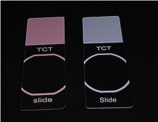 TCT液基细胞专用玻片.png