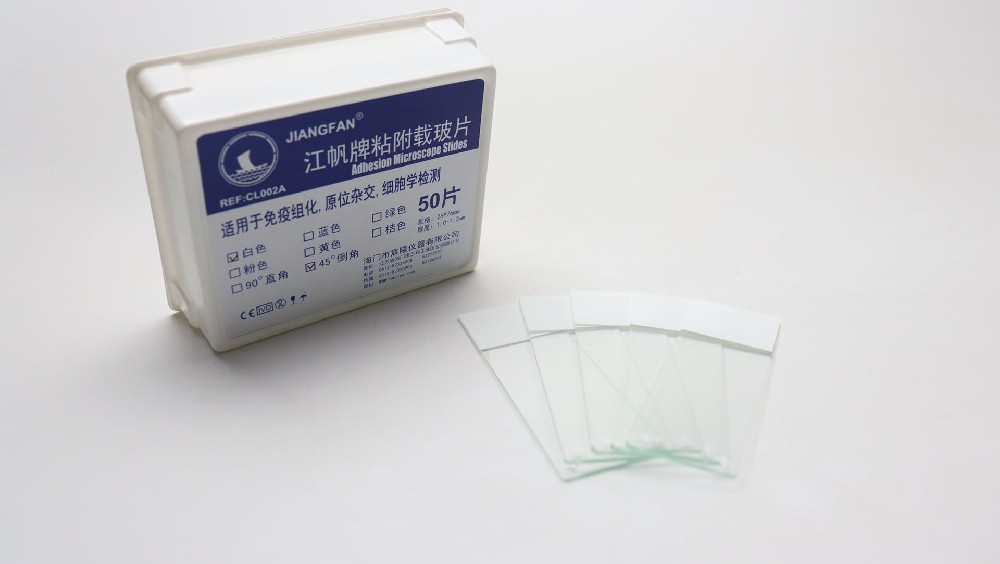 粘附载玻片（CL002A）